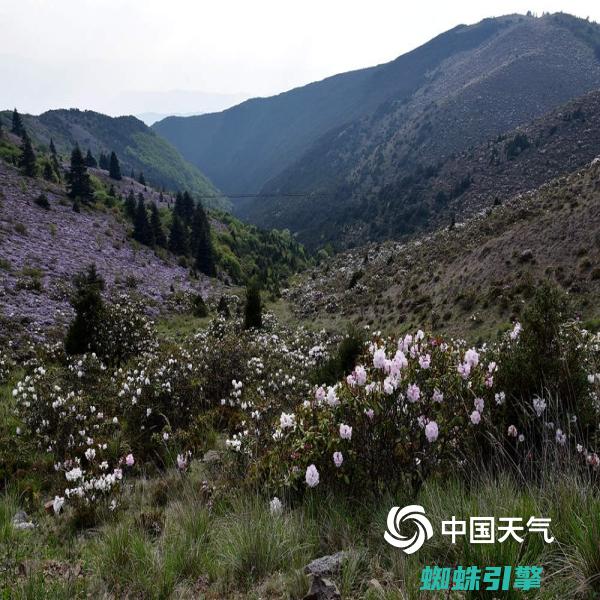 索玛花在哪个地方四川凉山有哪几个县?一 (索玛花在哪个地方)