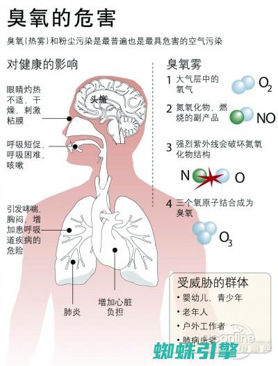 碗上有臭氧的气味有毒吗 (碗上有臭氧的气味能用吗)