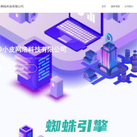 长沙小皮网络科技有限公司