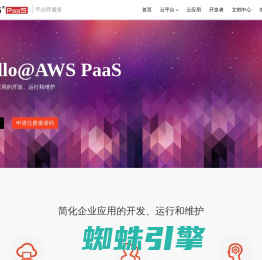 AWS PaaS - 简化企业流程应用的开发、运行和维护