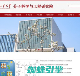 山东大学-分子科学与工程研究院