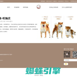 柴犬犬舍-旺驰庄