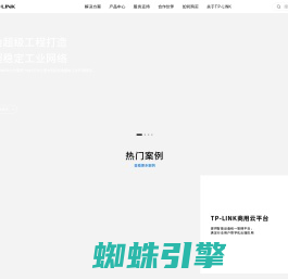 TP-LINK-领先的ICT整体解决方案提供商